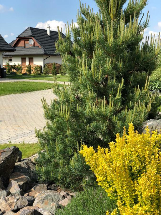 Villa Detvan สตารา เลชนา ภายนอก รูปภาพ